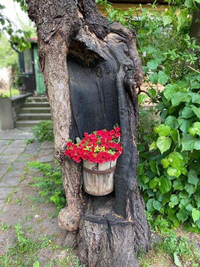 Old Summer House With Renovated Bathroom Praha Bagian luar foto